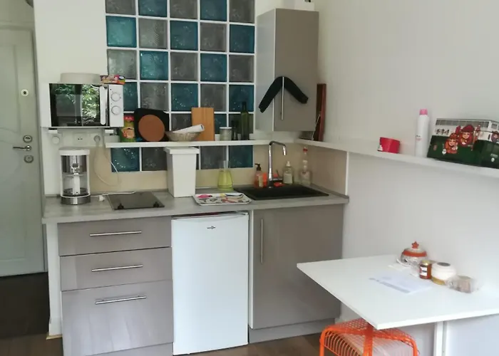 Studio Rdc Bois De Vincennes